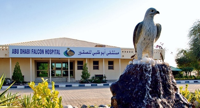 Abu Dhabi Falcon Hospital