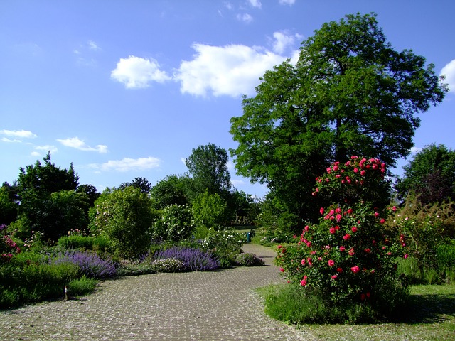 Johannesburg Botanical Garden