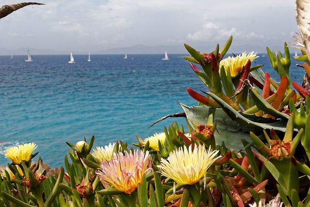 Rhodes, Greece best sandy beaches in europe