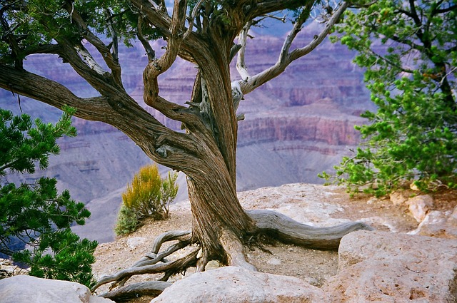 Grand Canyon, Arizona - north america tourist places - Airline-topdeals