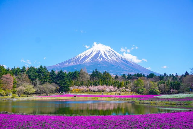 mount fuji world tour holidays package - Airline-topdeals